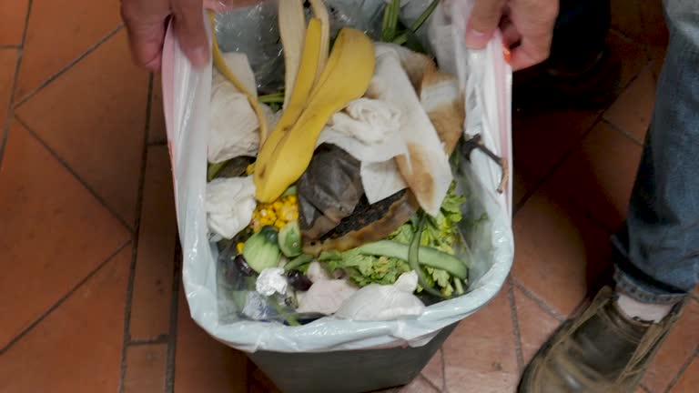 Best Yard Waste Removal  in Buena Vista, MI